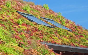 Lew living roof systems